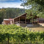 Bear Claw Vineyards & Winery, Inc.