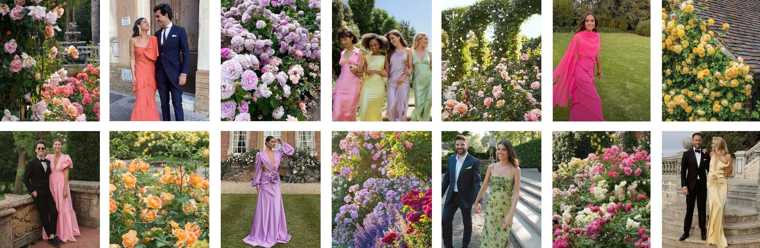 The Wedding Website of Maria Stoian and Maurits van Roozendaal