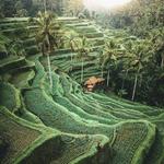 Ubud