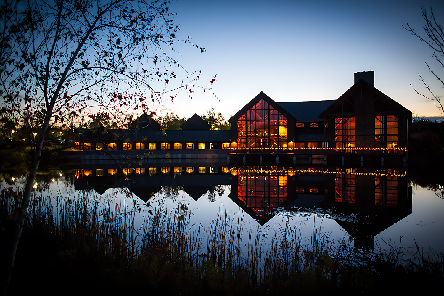The Wedding Website of Emily Paye and David Kirshy
