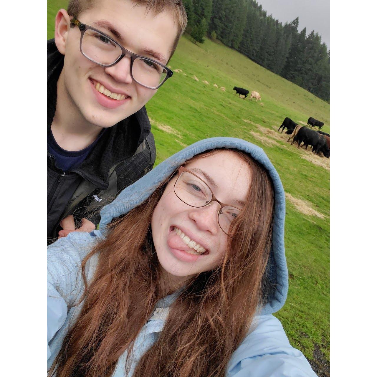 Found some cows on our Shelberg Falls hike in September 2019!