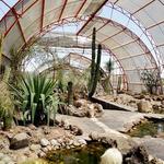 Charco del Ingenio