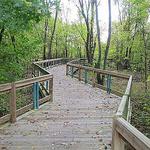 Shelby Bottoms Greenway