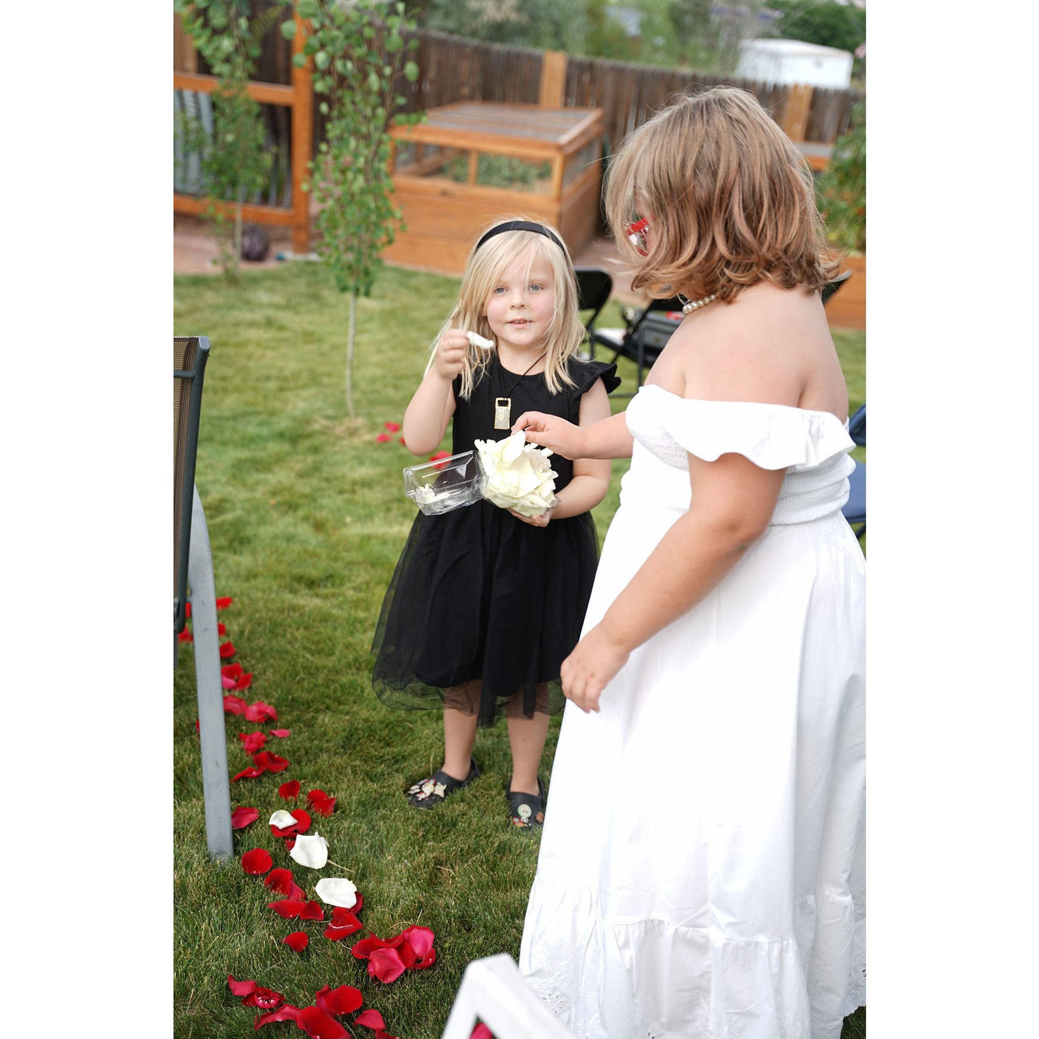The nieces
