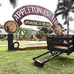 Appleton Estate Rum Tour