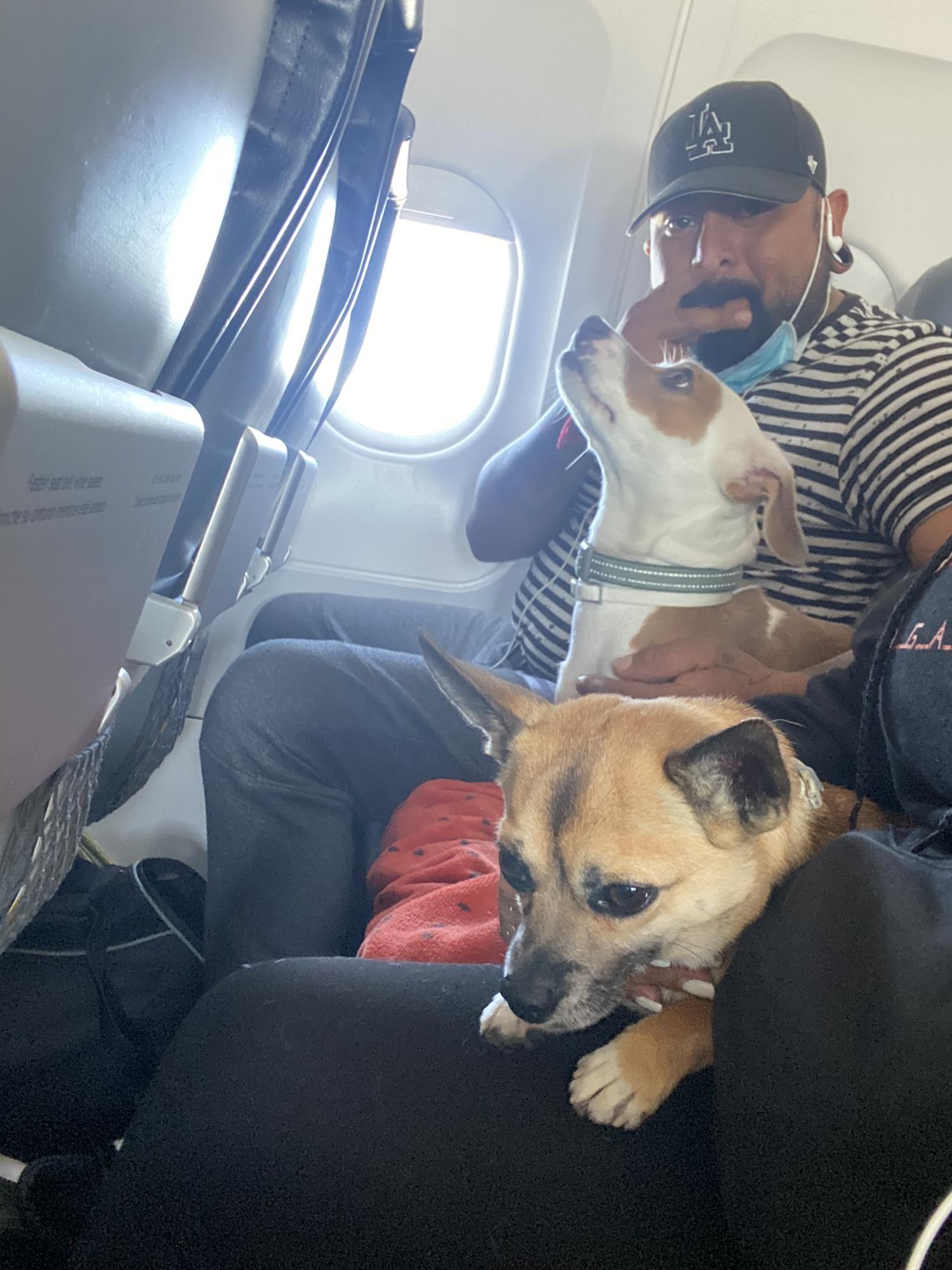 Our First Flight as a family.