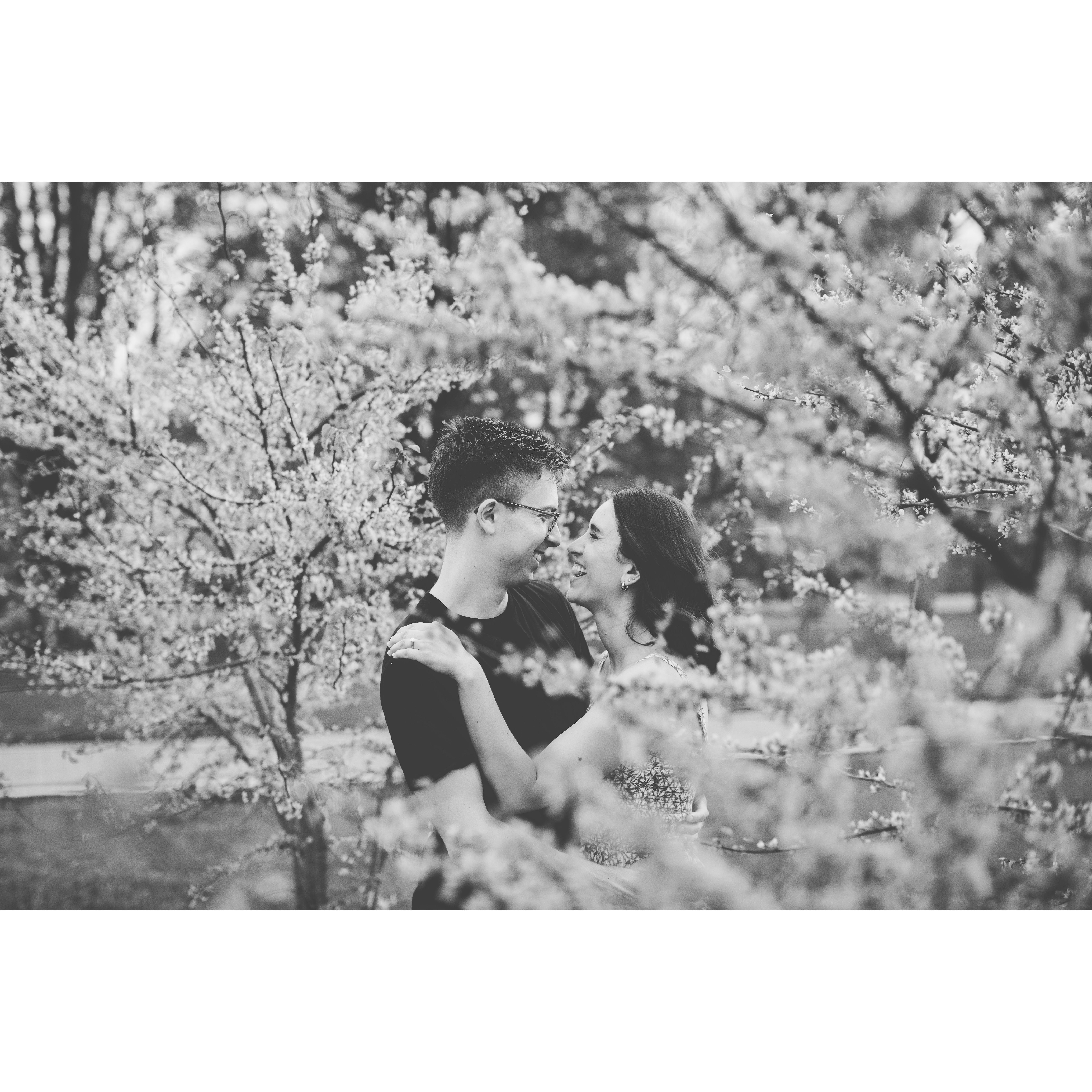 Engagement photo shoot