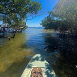 Emerson Point Preserve