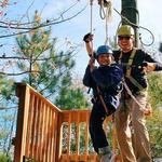 Adventureworks Zipline Forest