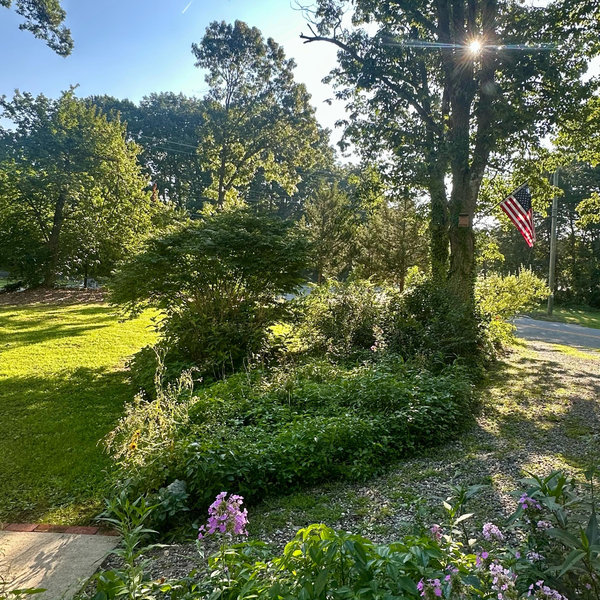 Fenced-In Yard