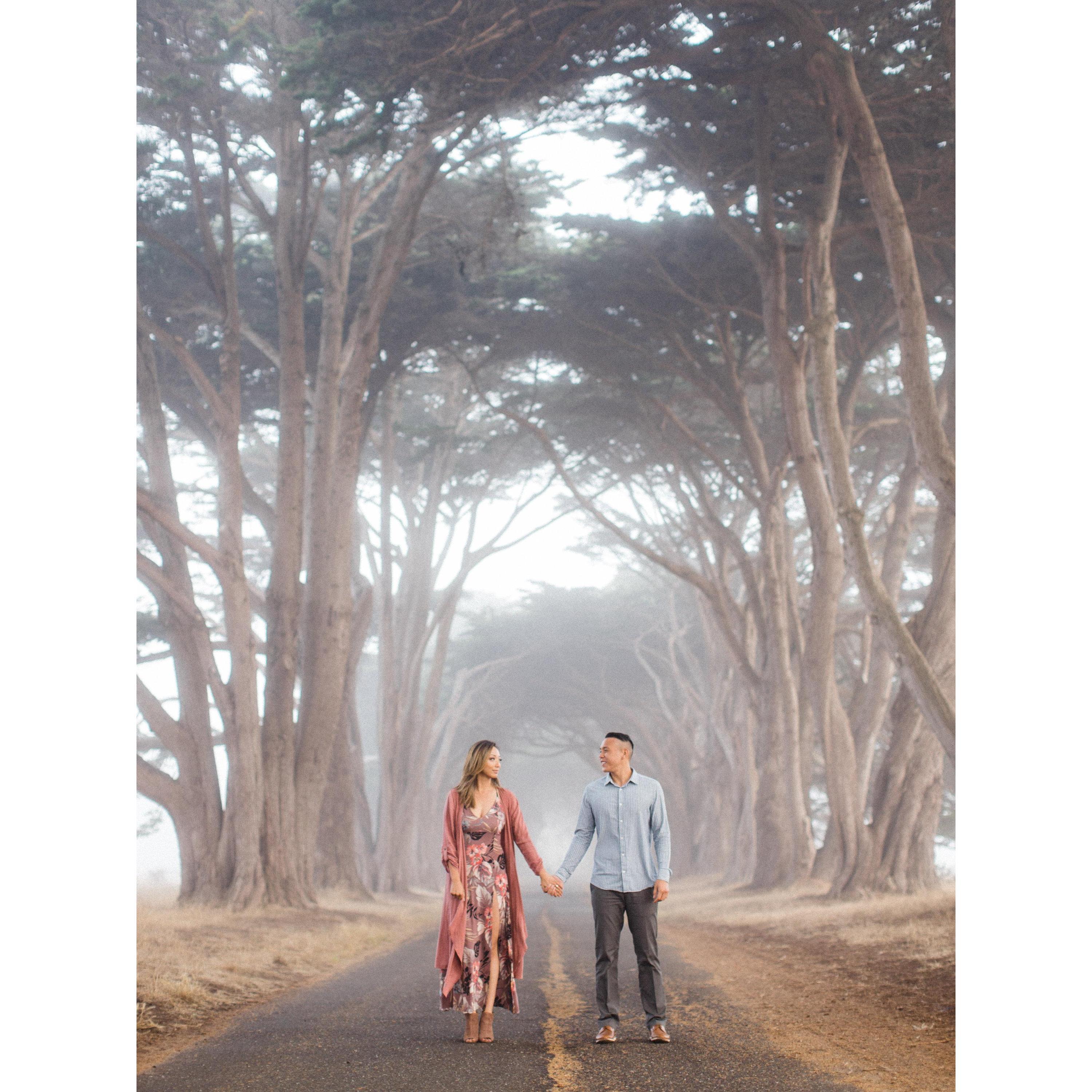 Engagement Session at Pt Reyes
Photography by Brandon J Ferlin
(www.brandonjferlin.com)