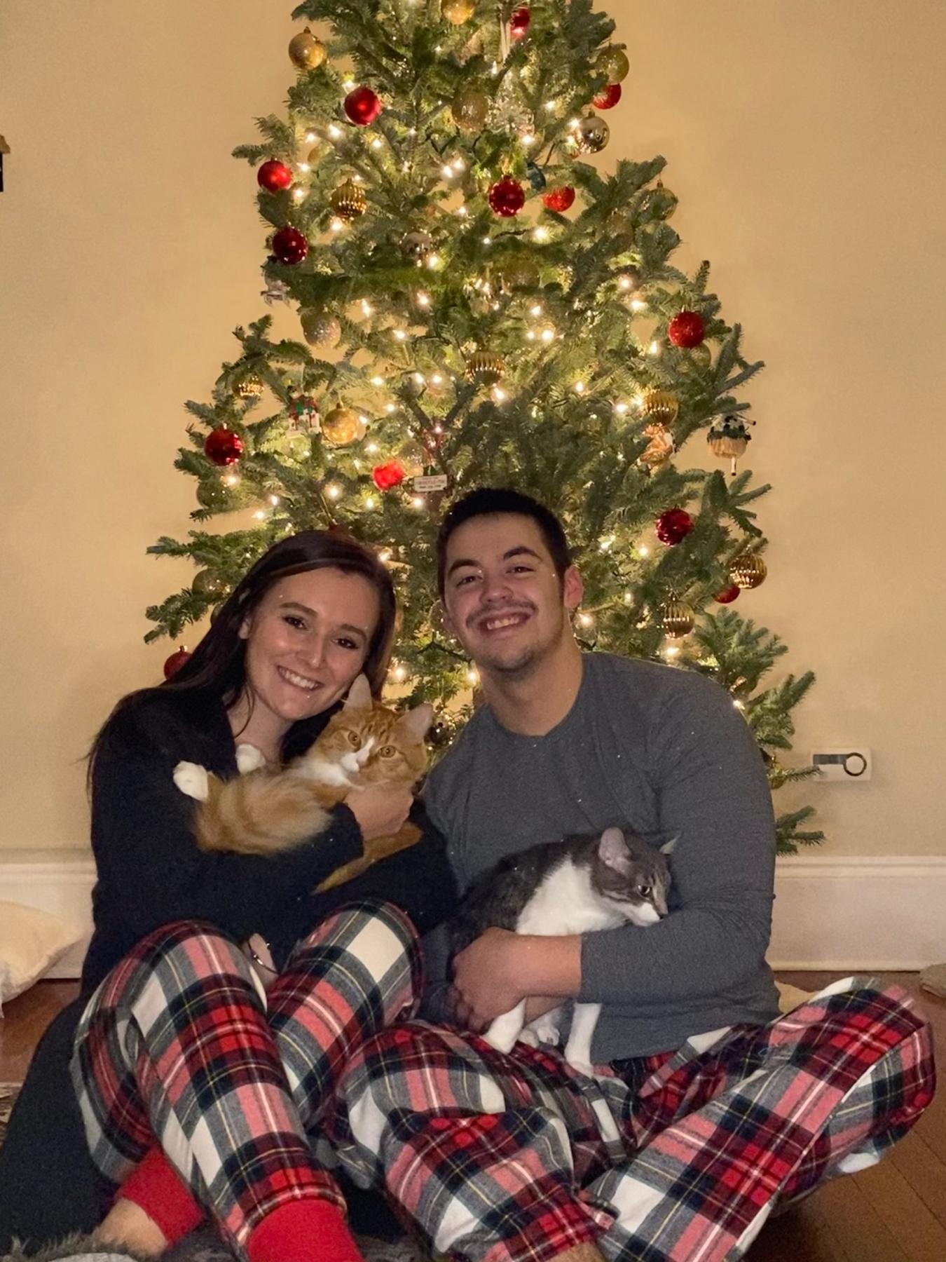 Christmas in our first apartment 2020