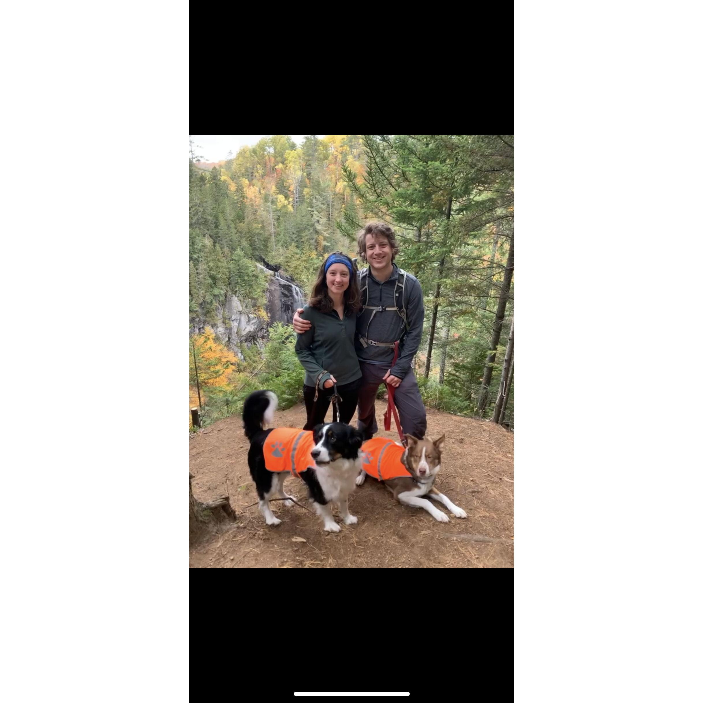 Hiking with the pups in the Adirondacks