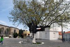 Pyrgos Village