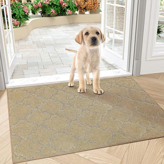 COSY HOMEER Indoor Door Mat Floor Mats Entryway Rug for Home, Welcome Doormat for Front Door Inside Outside Entry Outdoor Entrance Shoes Mat, Anti Slip Machine Washable,20"x32",Beige