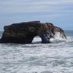 Natural Bridges State Beach