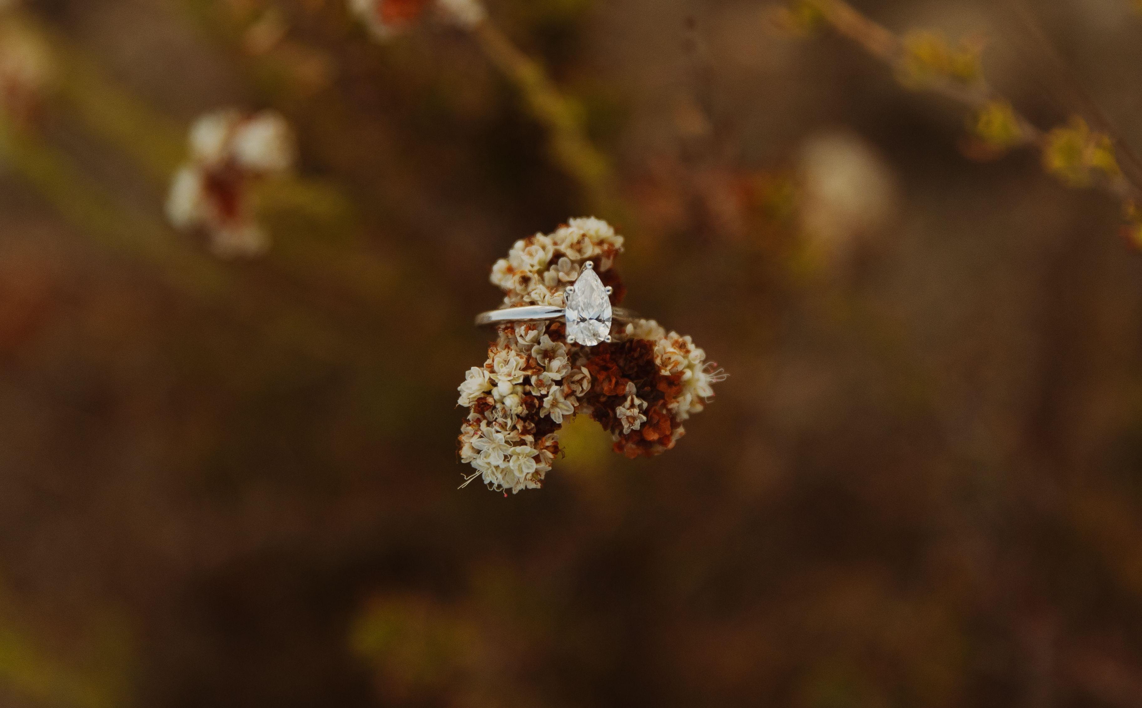 The Wedding Website of Abby Hobbs and Tim Beach