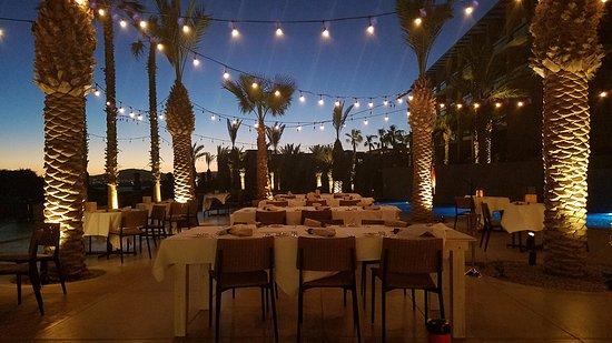 The Wedding Website of Talia Weldon and Sean Scott