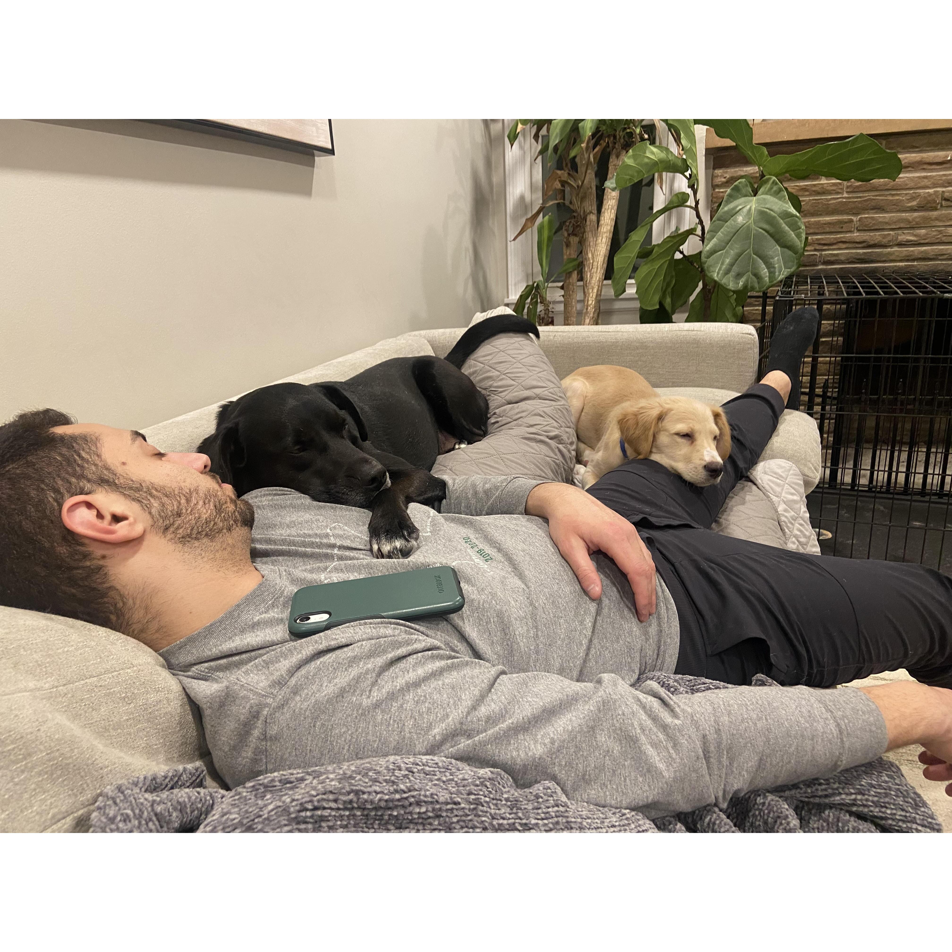 Naps with Rudy and Sadie