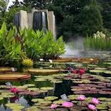 Denver Botanic Gardens