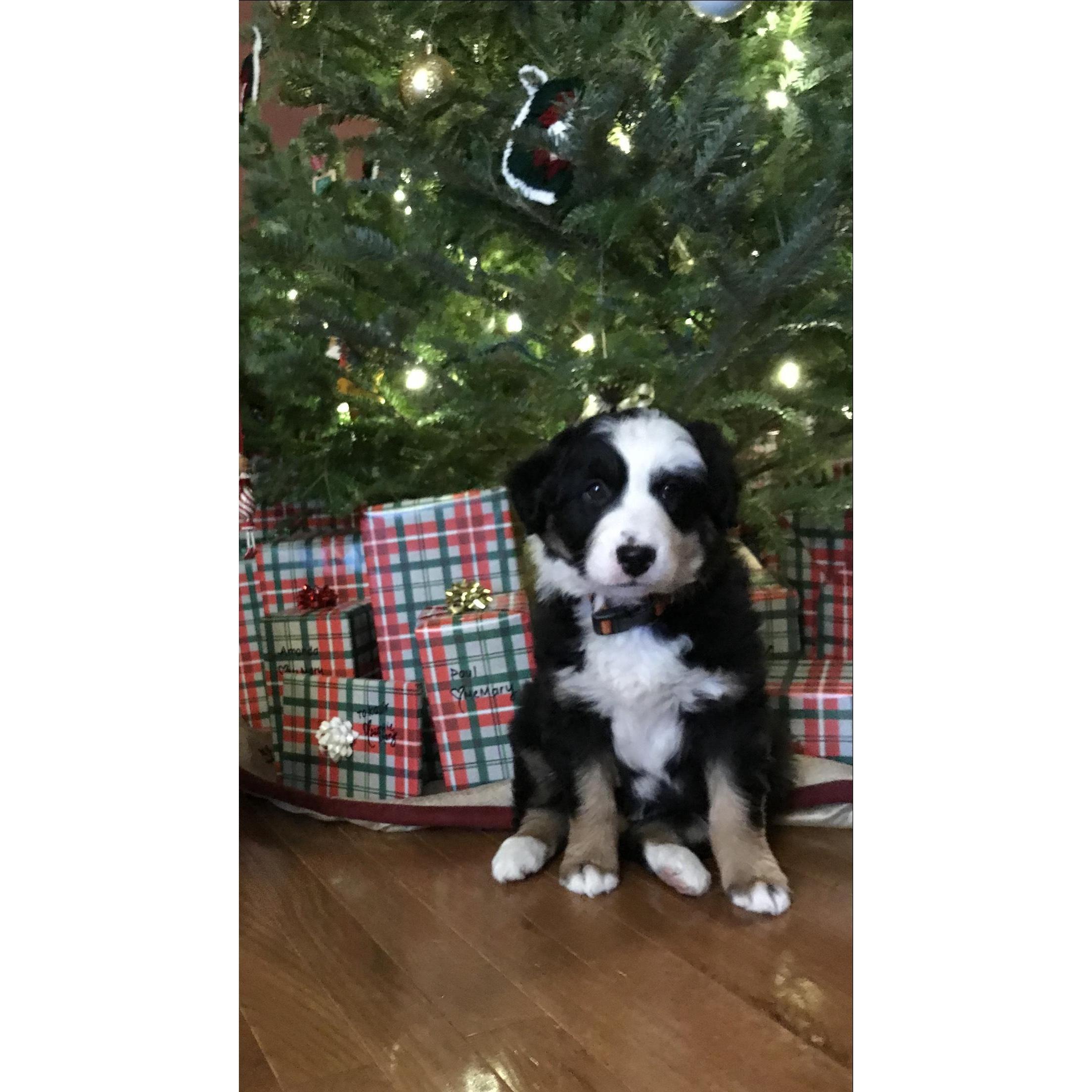 The BEST gift Dylan ever got Mary!!!