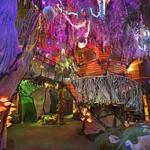 Meow Wolf