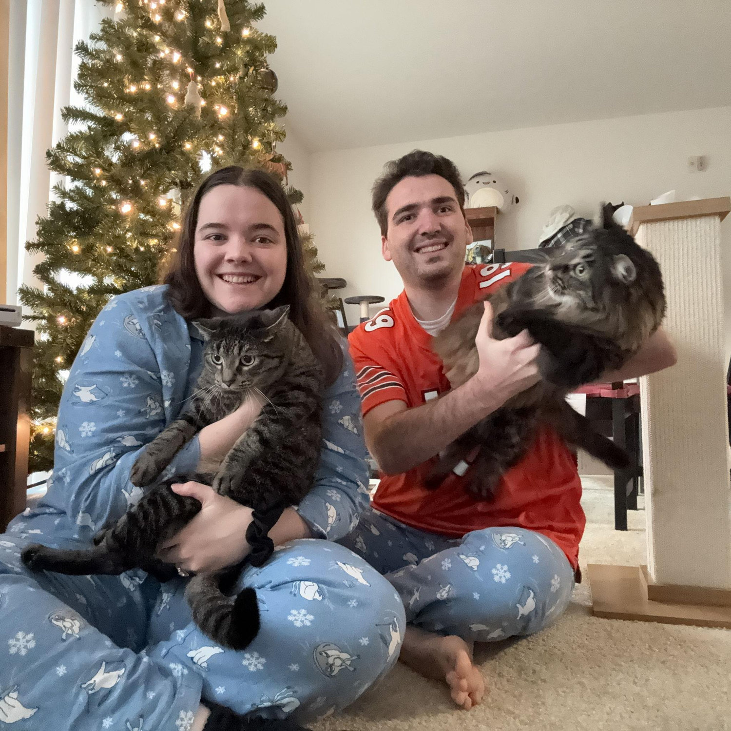 Our first Christmas with our lovely angelic cats