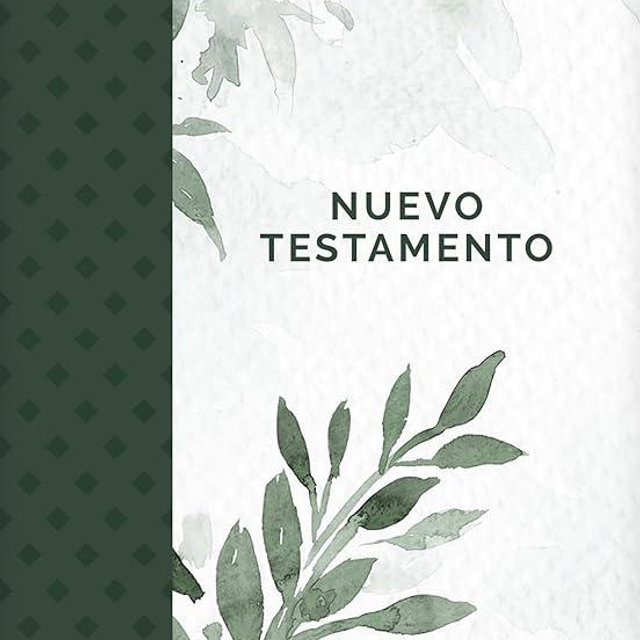 Nuevo Testamento económico NTV (Tapa rústica, Verde) (Spanish Edition)