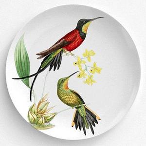 Humming Birds, Bird Plate, Melamine Plate, Vintage Bird Illustration, decorative plate, Dinner Plate, 10" plate, bird design