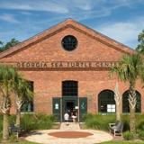 Georgia Sea Turtle Center