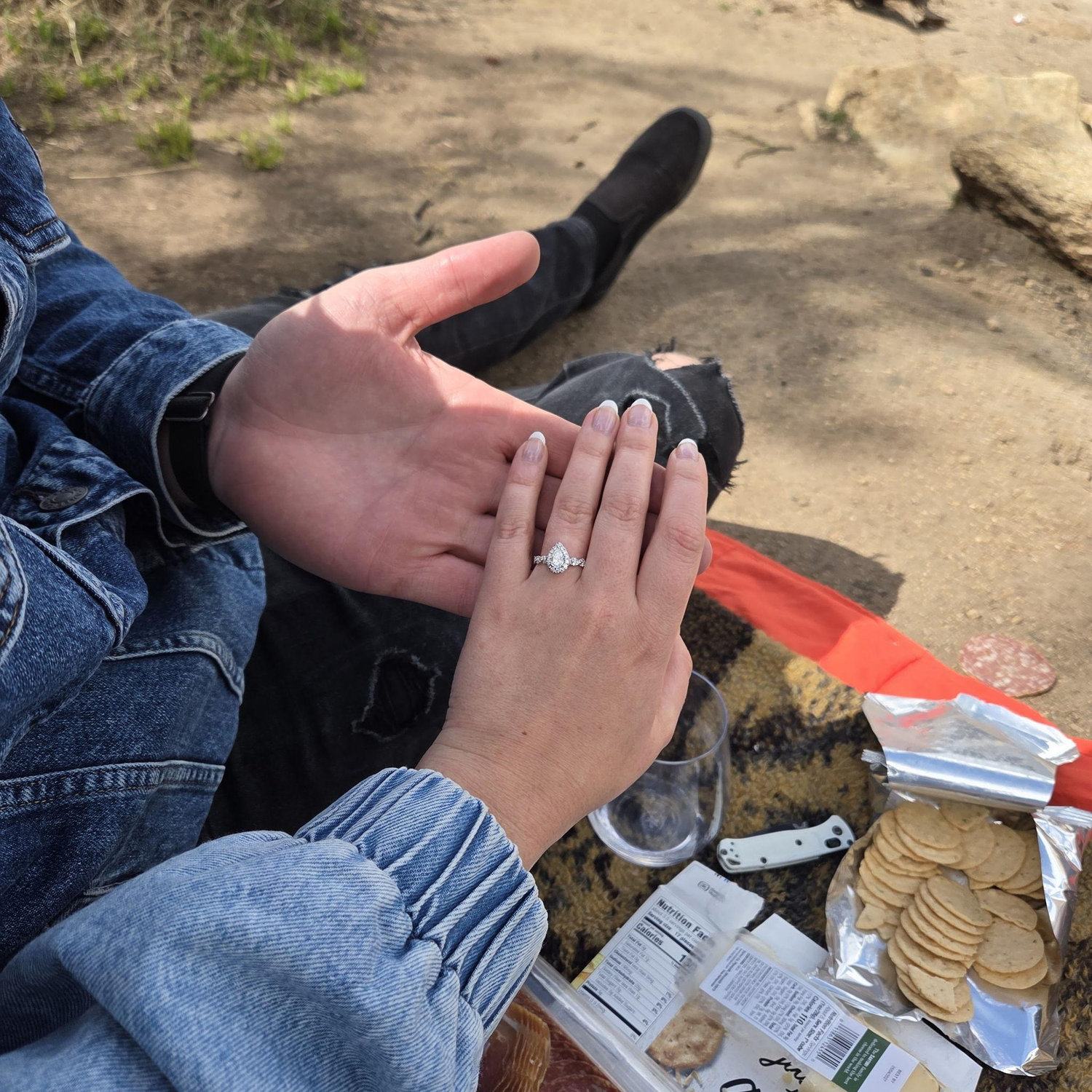 Proposal Picnic