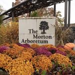 The Morton Arboretum