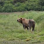 Kodiak National Wildlife Refuge Visitor Center