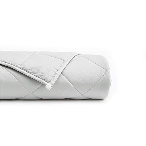 YnM Weighted Blanket (22 lbs, 60''x80'', Queen Size) | 2.0 Cozy Heavy Blanket | 100% Oeko-Tex Certified Cotton Material with Premium Glass Beads