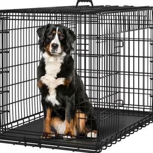 YAHEETECH Double Door Collapsible Wire Dog Crate, Black, 48-inch - Chewy.com