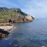 BEACH // Platja de Son Bunyola