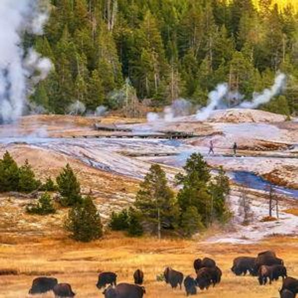 Private Yellowstone Tour