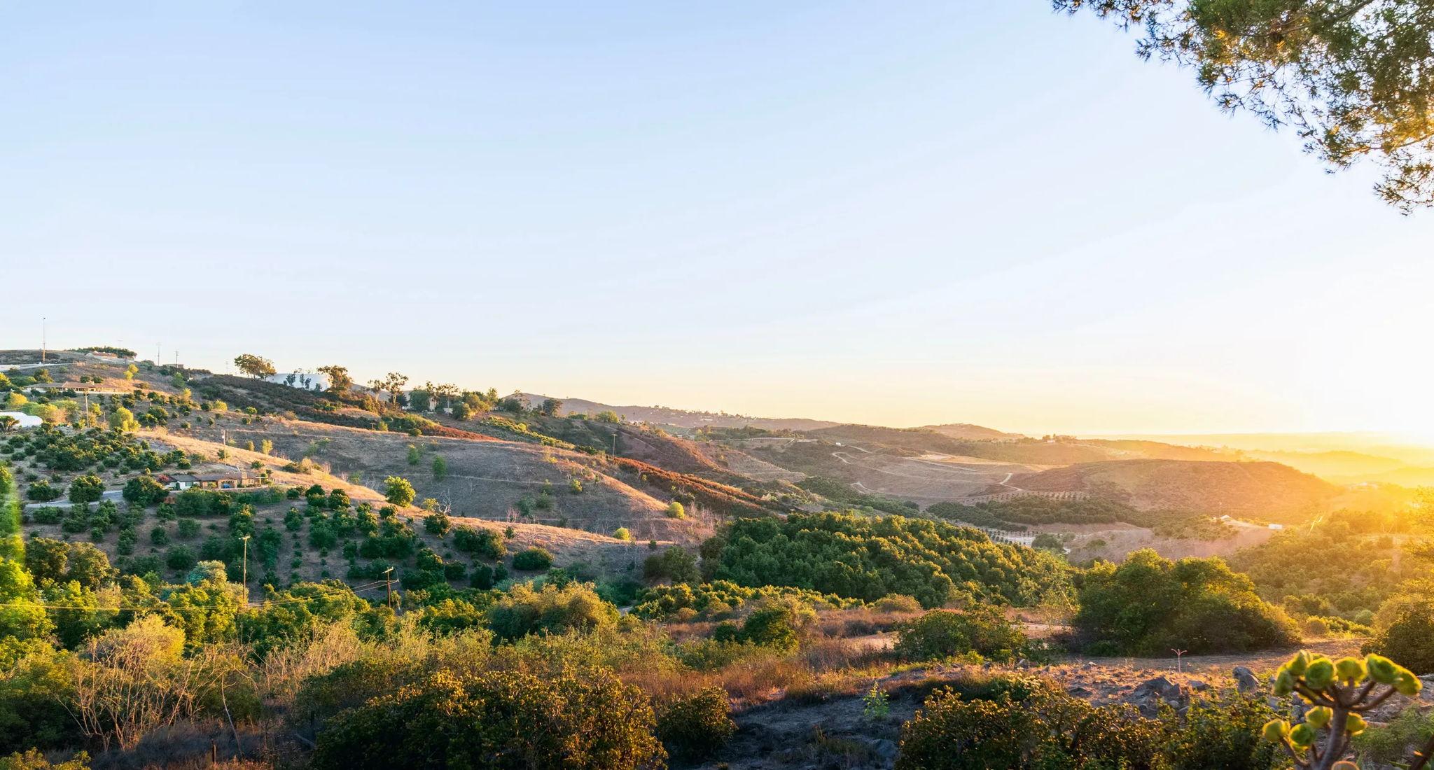 The Wedding Website of Abby Pratt and Jenny Rudloff