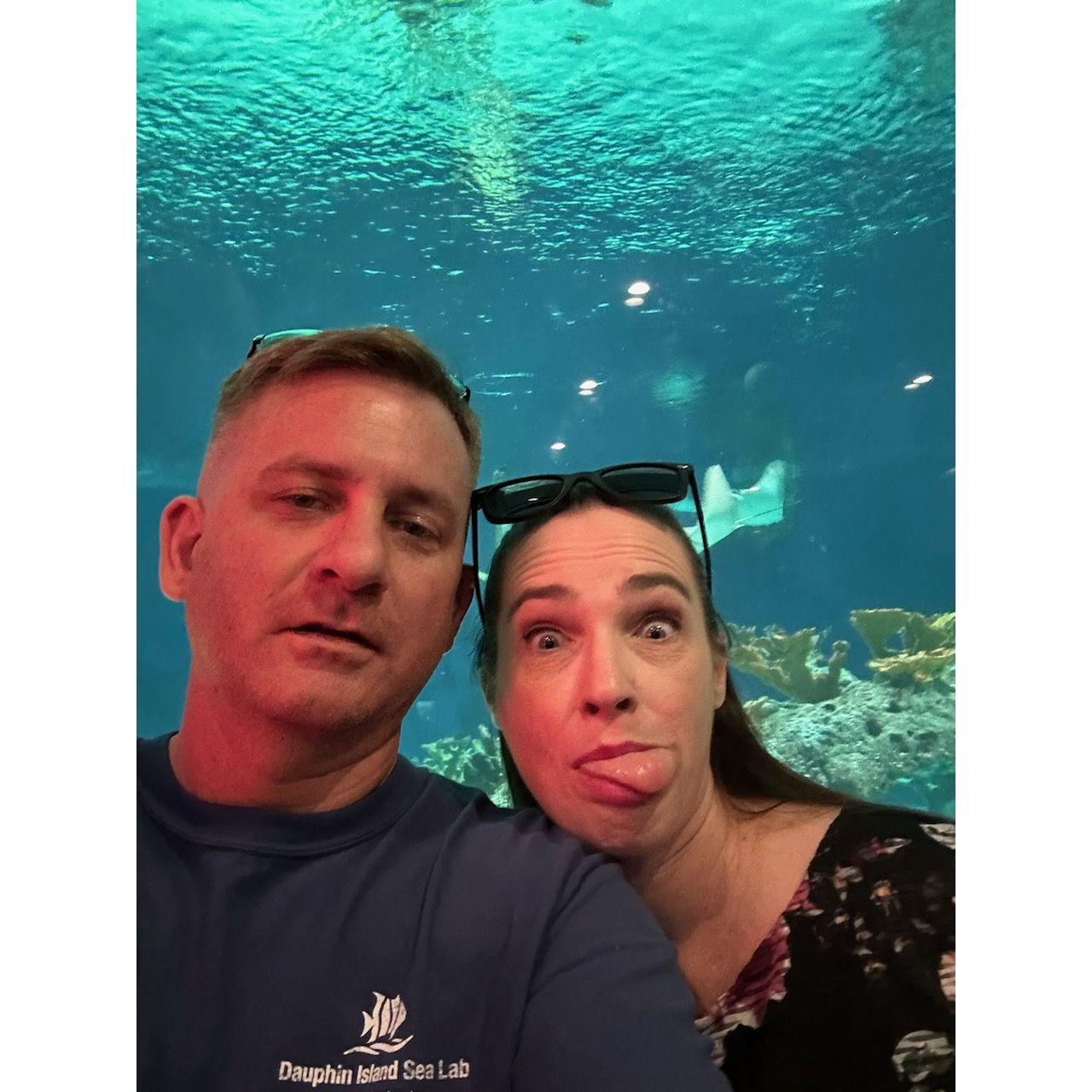 Aquarium