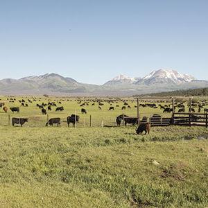 Pasture Irrigation Fund