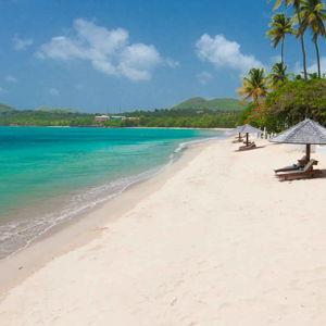 Honeymoon Activity Fund