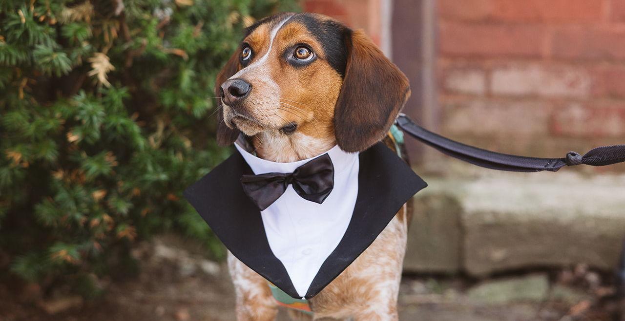 The Wedding Website of Stephanie Avila and Brendan Chrystal