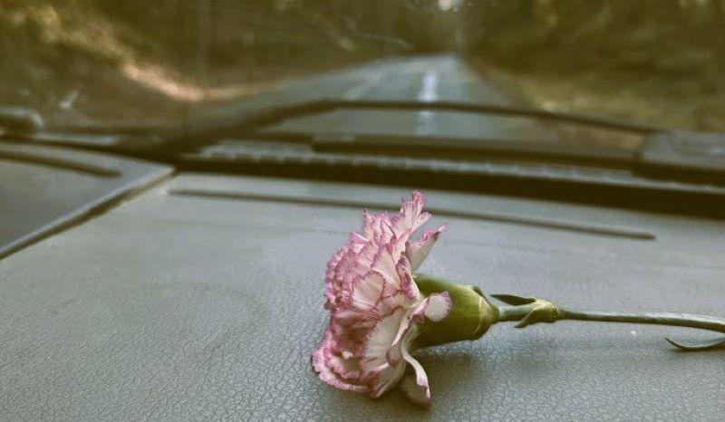 Hero Slideshow Image 0