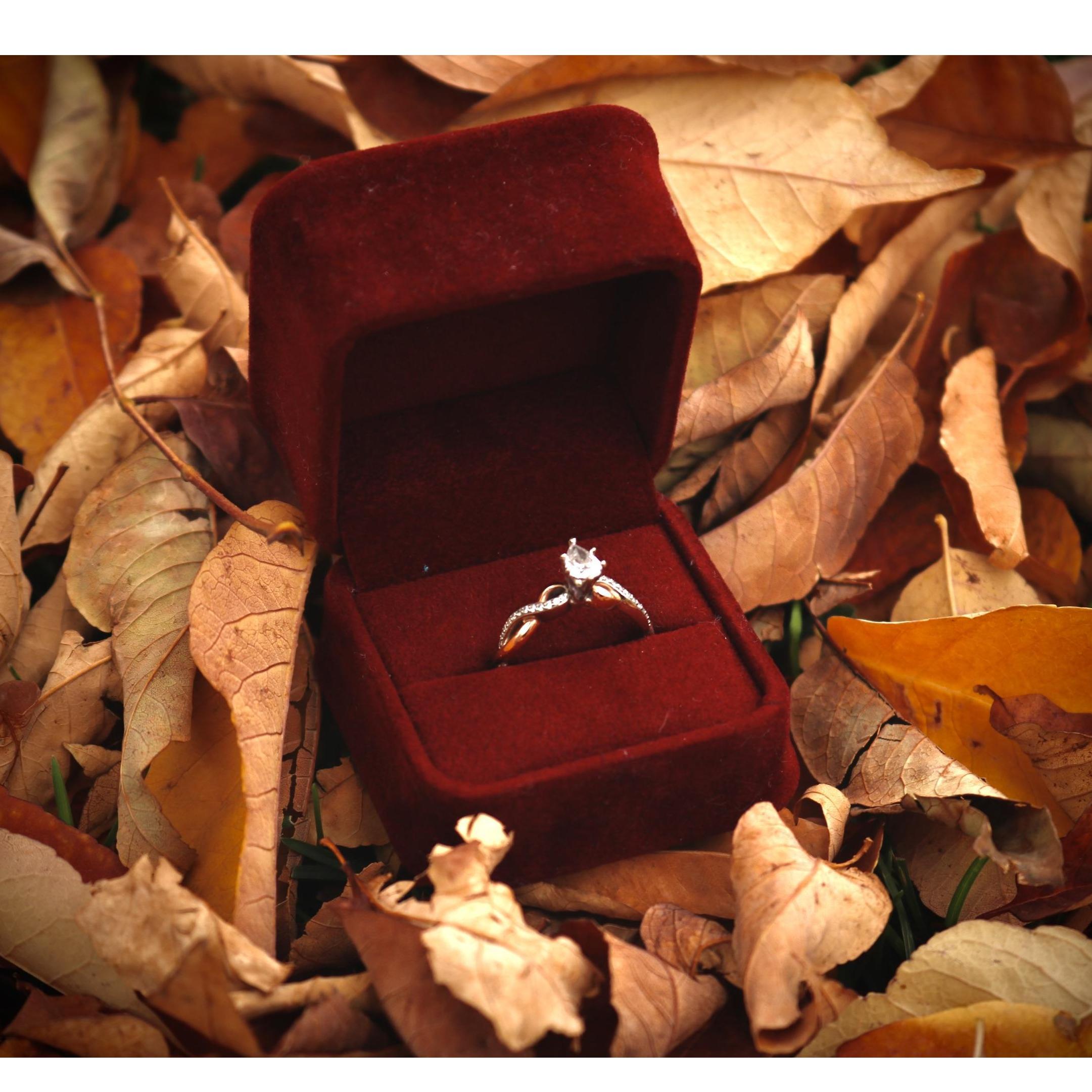 Look at this gorgeous ring!