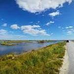 Edwin B Forsythe National Wildlife Refuge