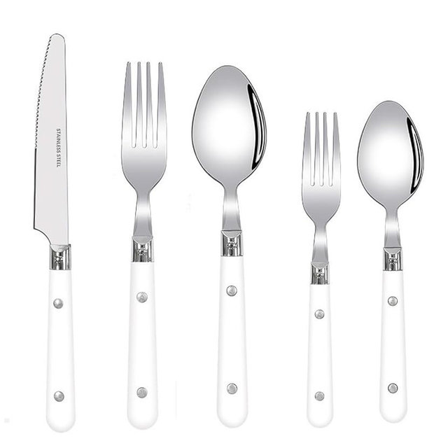 SENIDIKE 5/20/30-Piece Lightweight Stainless Steel Silverware Set for Everyday Use, Flatware Service for 1/4/6, Steak Knife Fork Spoon Dessert Tea Spoon Fruit Fork, Durable Reusable, White