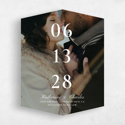 White Diamond Wedding Save the Date - Blake Figure