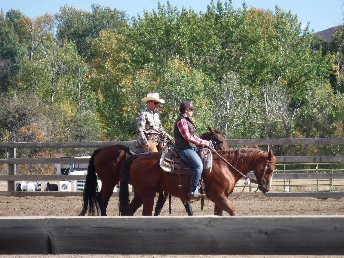 Peter Campbell Clinic 2016