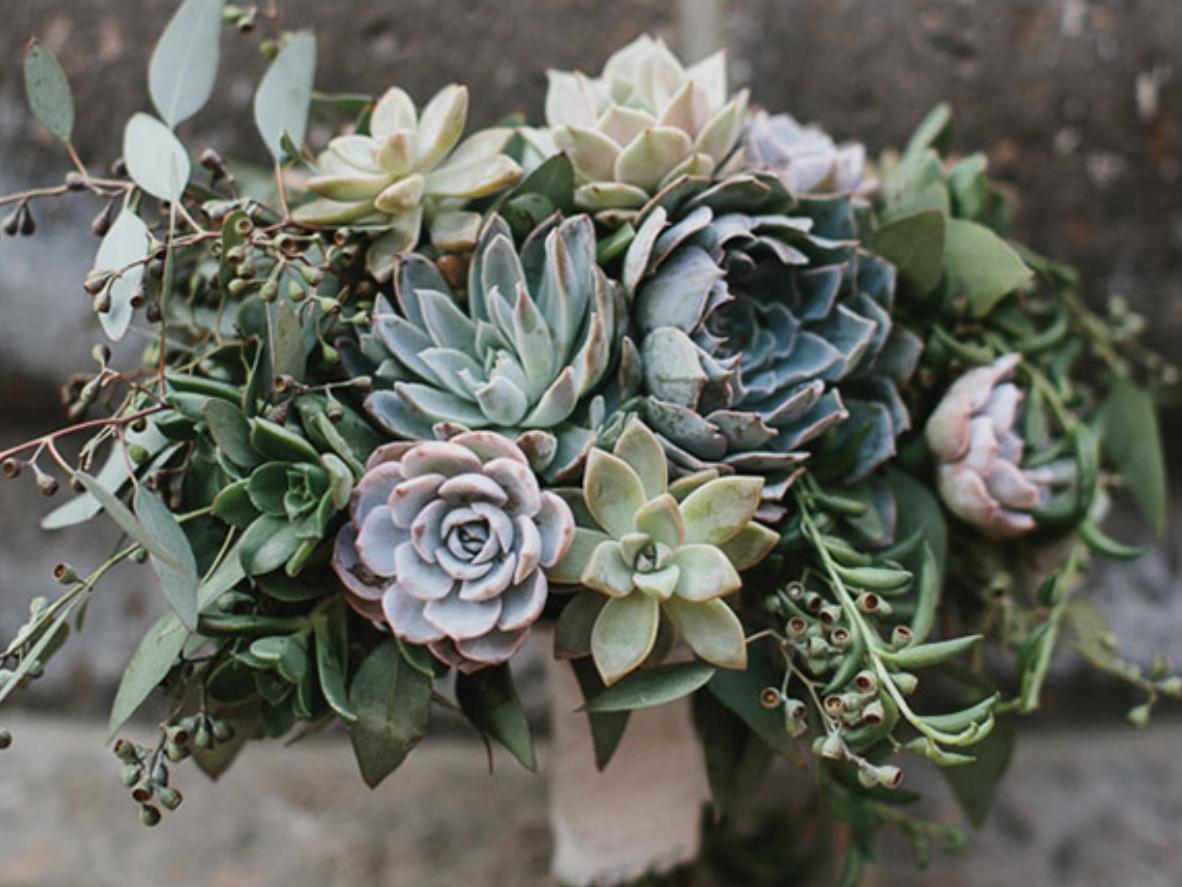 The Wedding Website of Ariel Campbell and Peter Danza