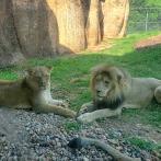 Oklahoma City Zoo
